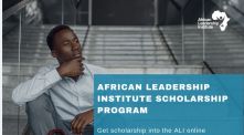 The African Leadership Institute Business Development Scholarship Program